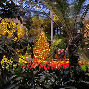 Holiday Collection Christmas Glory