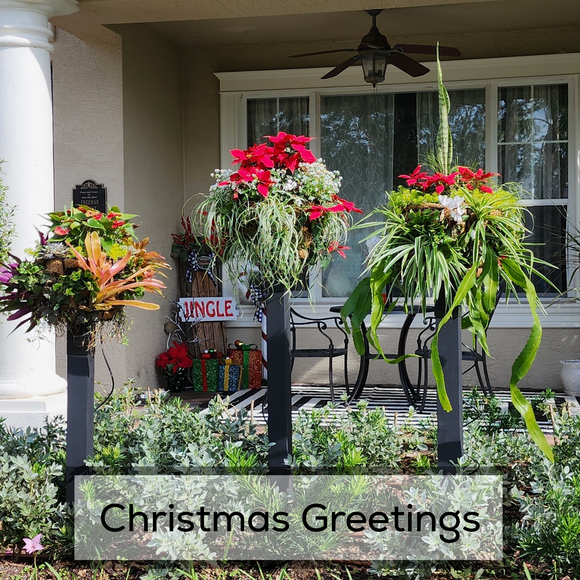 Holiday Collection Christmas Greetings