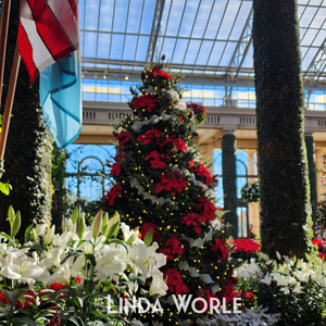 Holiday Collection a Poinsettia Christmas