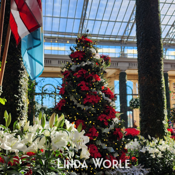 Holiday Collection a Poinsettia Christmas