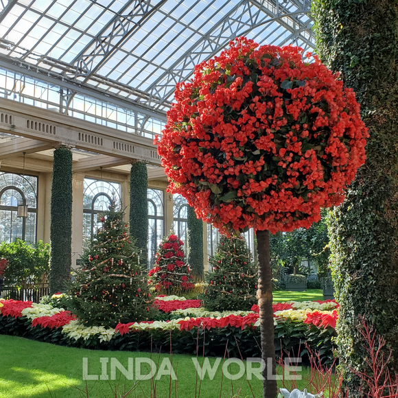 Holiday Collection Radiantly Red