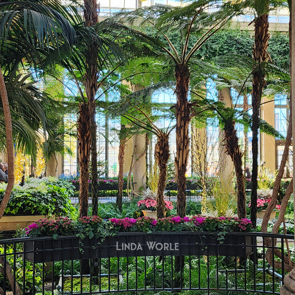 Holiday Collection a Tropical Oasis