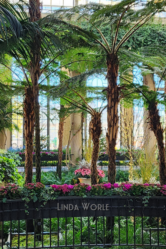 Tropical Oasis
