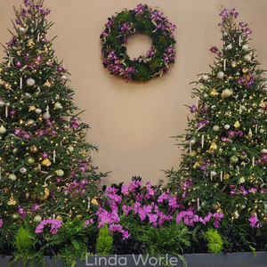 Holiday Collection Twin Trees