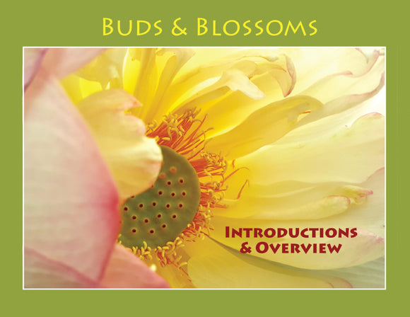 Buds and Blossoms