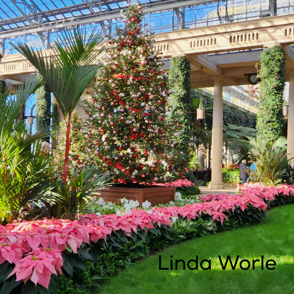 Holiday Collection Pretty in Pink