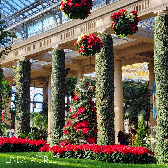 Holiday Collection Dressed in Red